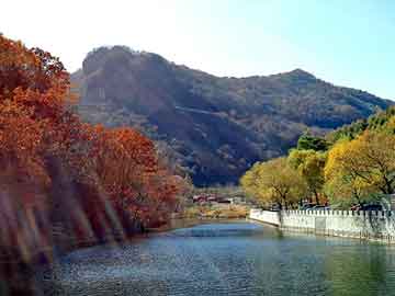 新澳天天开奖资料大全旅游团，西乌珠穆沁旗seo论坛